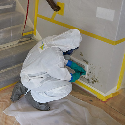 Mold Remediation